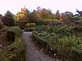 Park Hill, Croydon- walled garden