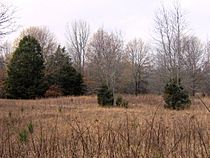 Pinson-mounds-mound14sector