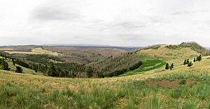 Profanity Ridge on Escudilla Mt, Apache-Sitgreaves NF, AZ (28222179505)
