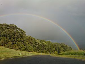 Rainbow Currumbin Gold Coast Australia
