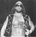 Randy Savage WWC North American Heavyweight Championship