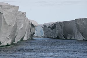 Ross Ice-Shelf