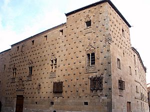 Salamanca - Casa de las Conchas 04