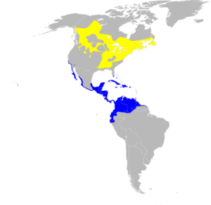 Setophaga ruticilla map.svg