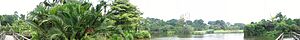 Singapore Botanic Gardens, Eco-lake, panorama, Sep 06