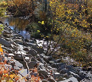 Sorber Run looking upstream near its mouth