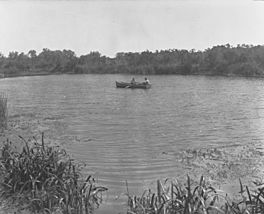 South East Drainage, Ewen Ponds showing row boat with two men(GN11011).jpg