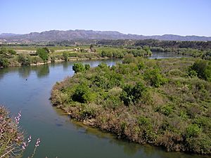 Spain Ebre river in Miravet