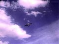Sparless Styrofoam kite in flight