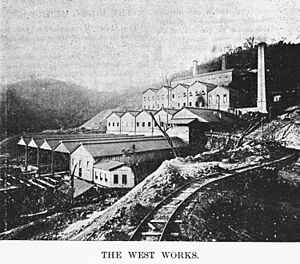 StateLibQld 1 291027 West works, Mt. Morgan, 1898