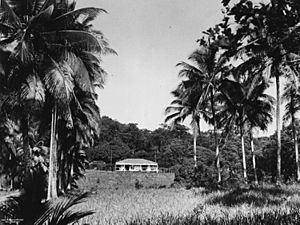 StateLibQld 2 117436 Residence of E. J. Banfield on Dunk Island, 1935