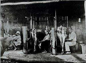 StateLibQld 2 174287 Milking dairy cows on Mallinson's farm, Mount Maroon, Queensland, 1935