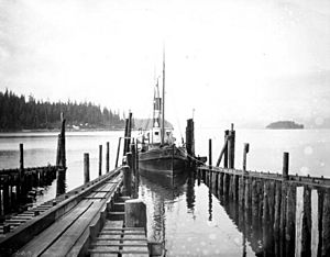 S.S. Kayak, a steamship, entering the slip at a cannery dock in Loring, July 1904