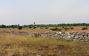 Stora Allvaret,Öland 01