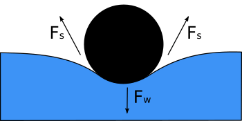 Surface Tension Diagram