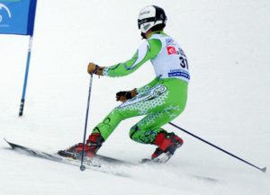 Telemark competition gate