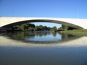 Tevere - Ponte Duca d Aosta 03
