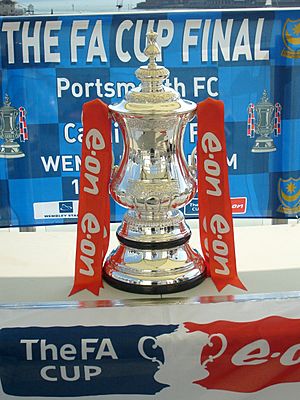 The FA Cup Trophy in 2008