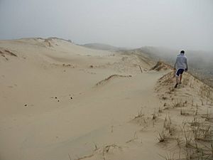 The dunes, Nordhouse Dunes