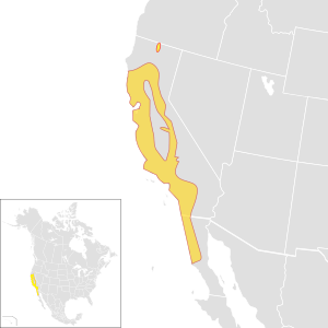 Toxostoma redivivum species distribution map.svg