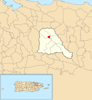 Location of Trujillo Alto barrio-pueblo within the municipality of Trujillo Alto shown in red