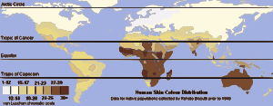 Unlabeled Renatto Luschan Skin color map