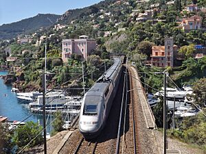 Viaduc de la Rague et TGV (2014)