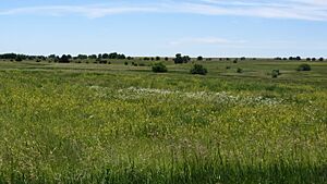 Views of the prairie at Lost Spring Station in Kansas (c0e7e088e2854573878cd97ac4523a66)