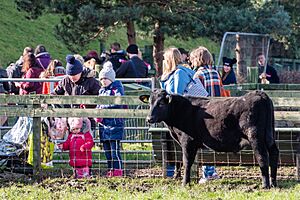 Visitors at the opening of LOVE Gorgie Farm on February 2020