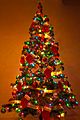 Y Christmas Tree 2