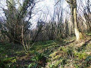 Yockletts Bank 3