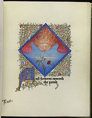 A hand painted image of a red winged figure looking down and blowing upon some flowers. The image is within a diamond on vellum surrounded by gold illumination of plants with accompanying handwritten text below that reads, "And the flowers were covered the early"