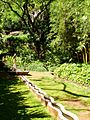 Allerton Garden, Kauai, Hawaii - Mermaid Fountain