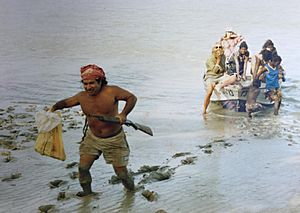 Arafura Swamp 1988