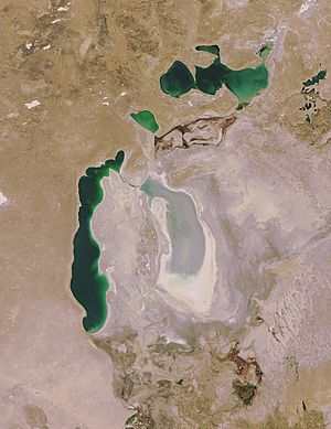 Aral Sea 05 October 2008