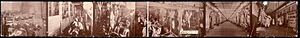 Beef industry panorama 1900 loc
