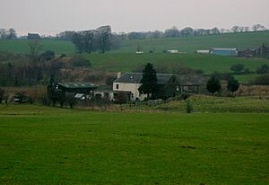 Borland Mill