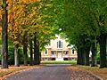Boscobel entrance road