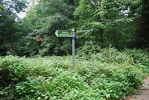 Bridleway signpost at the beginning of the way to Shoreham - geograph.org.uk - 940960