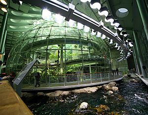 California Academy of Sciences Indoor Rainforest