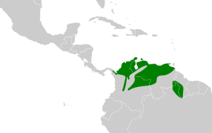 Campylorhynchus griseus map.svg