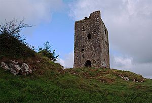 Castles of Munster, Rockstown, Limerick - geograph.org.uk - 1541517.jpg
