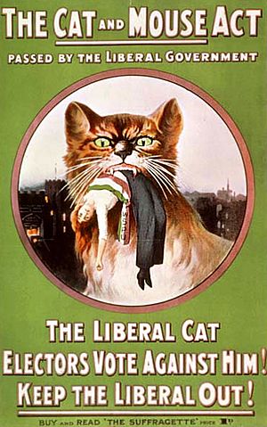Cat and Mouse Act Poster - 1914 cropped
