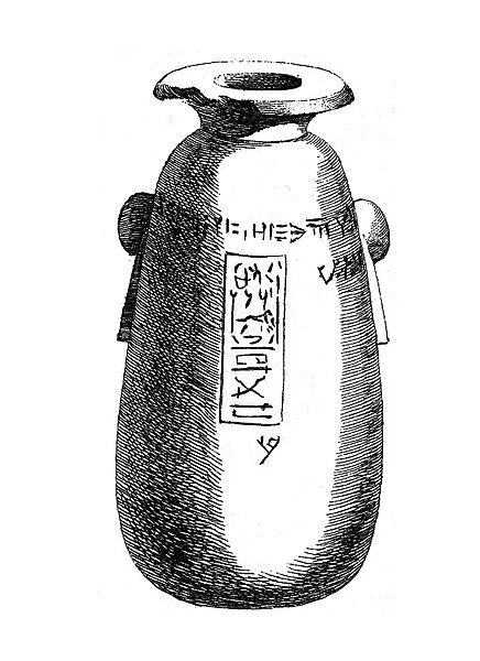 Caylus vase (9481653)