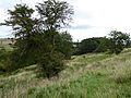 Chater Valley 6
