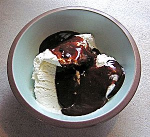 Chocolate sauce and vanilla icrecream