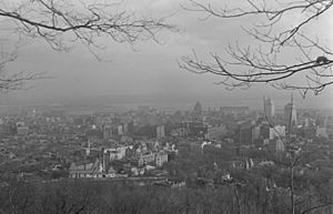 City Views. View from Mt. Royal BAnQ P48S1P03519