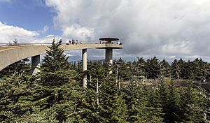 Clingmans Dome observation tower TN1