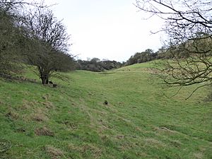 Coombe Hill Hollow 2.jpg