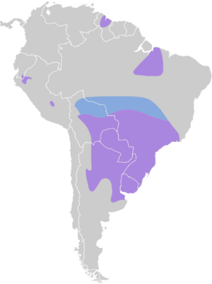 Coryphospingus cucullatus map.svg